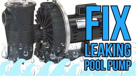 above ground pool pump leaking|How to fix a leaking pool pump